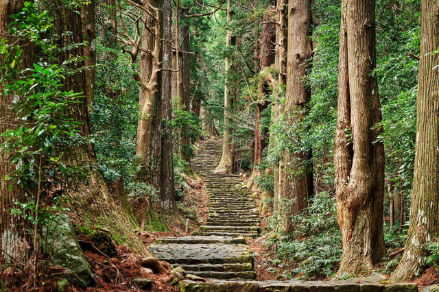 熊野古道　大門坂