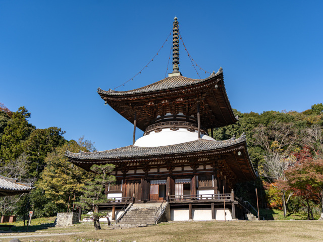 根來寺(ねごろじ)