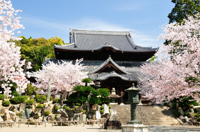 粉河寺