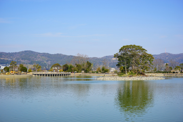 平池緑地公園