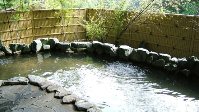 【日帰りのみ】龍神温泉 元湯