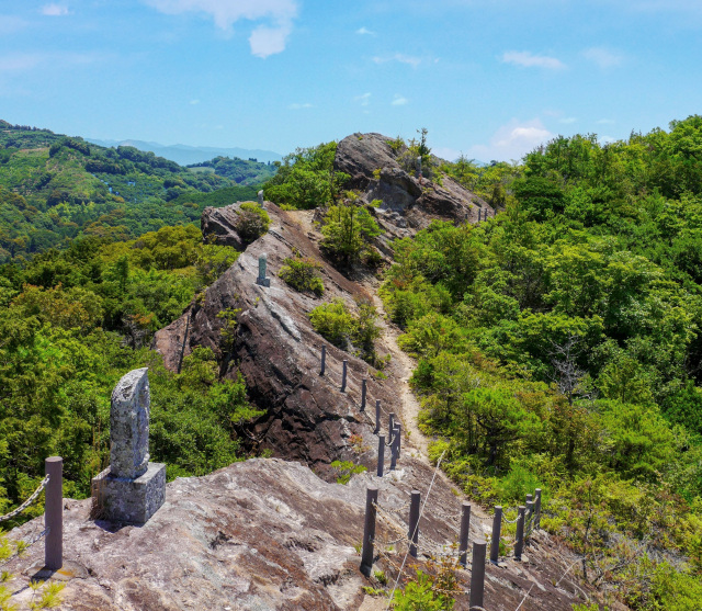 登山・トレッキング・低山ハイキング