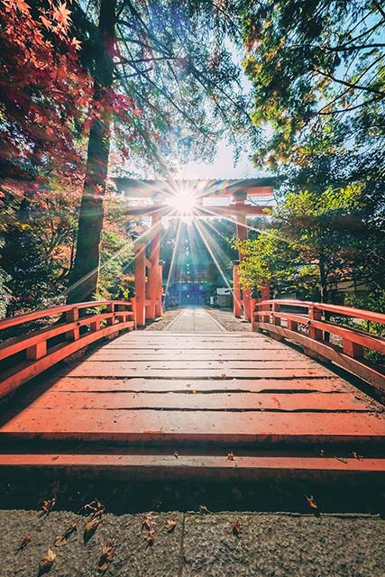  丹生都比売神社（かつらぎ町）