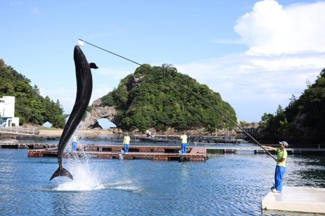 和歌山リアルとりっぷ③海も温泉も熊野古道も!南紀よくばりドライブ旅【後】