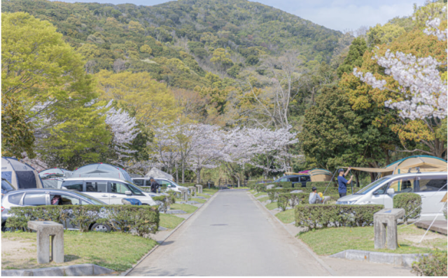 休暇村紀州加太オートキャンプ場