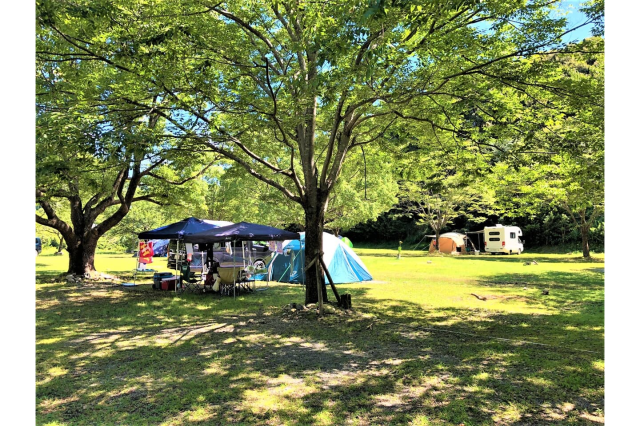 向平キャンプ場