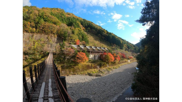 道の駅龍神「ウッディプラザ木族館」