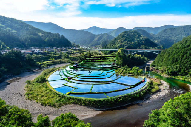 あらぎ島