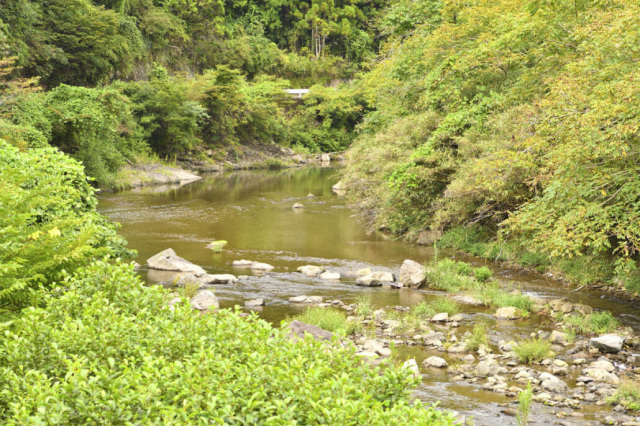 夏は貴志川にて川遊び