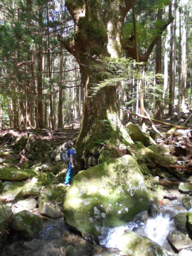 百間山渓谷が近い（徒歩１０分）