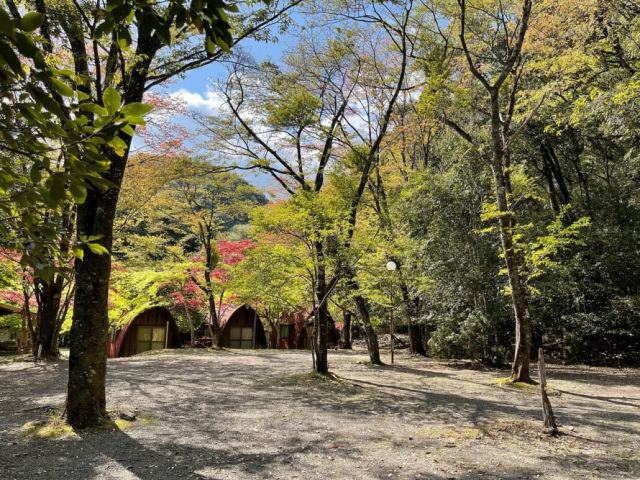 緑に囲まれたキャンプ場です。