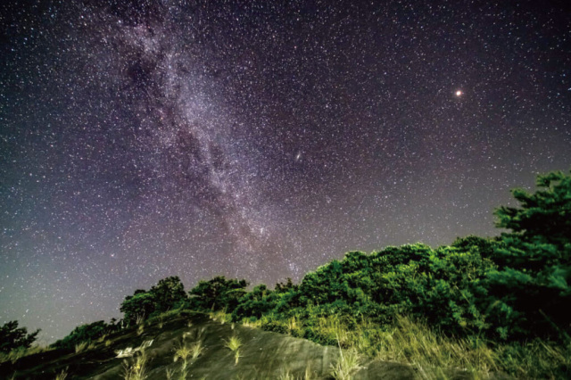 晴れた日の夜には満天の星をご堪能いただけます！