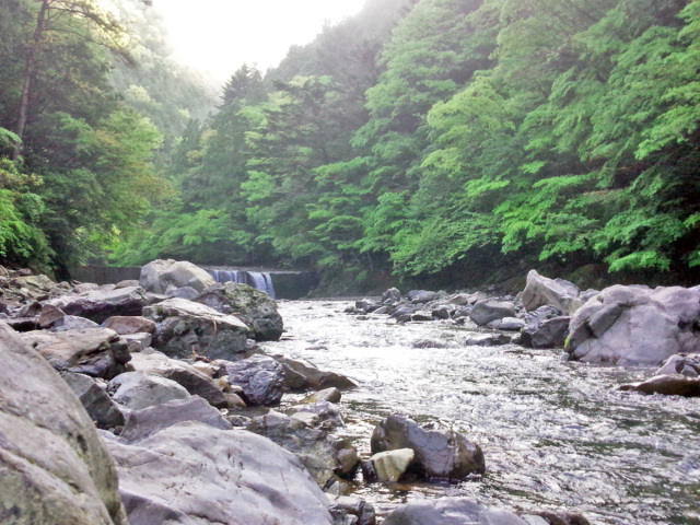 釣りや川遊びが楽しめる（最上流域だからとにかく水がきれい☆）