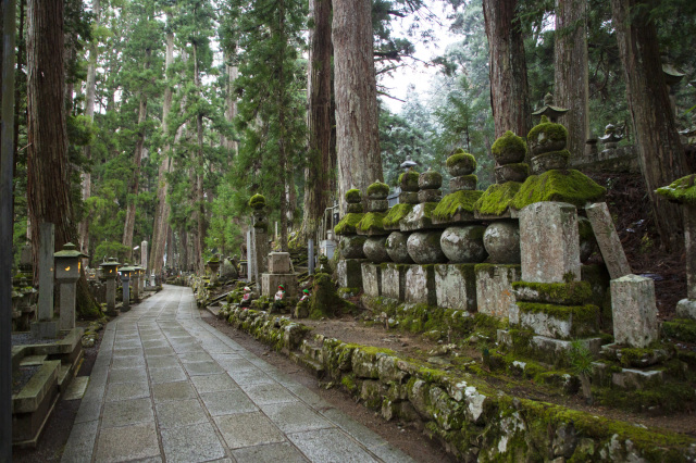 高野山エリアの見どころ総まとめ!定番の絶景スポットからグルメ、宿坊まで