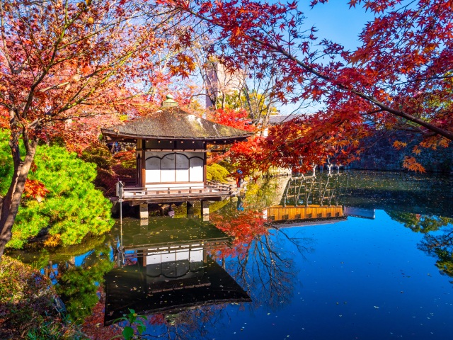 名勝 西之丸庭園（紅葉渓庭園）