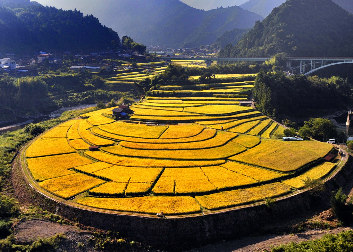 写真提供：有田川町