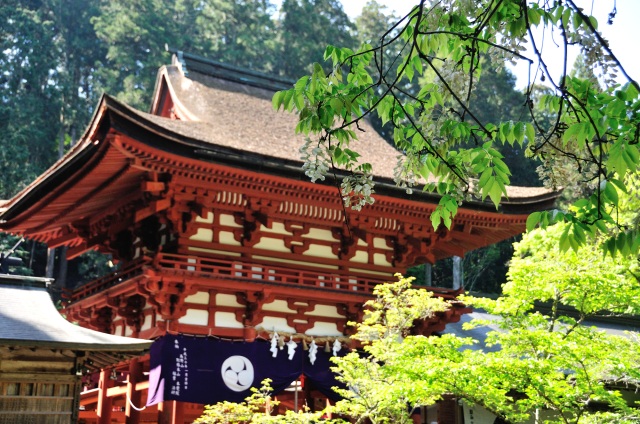 丹生都比売神社