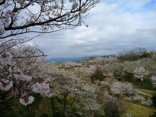 平草原公園 　　