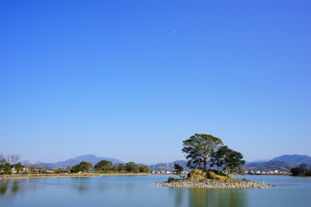 平池緑地公園