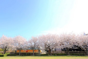 動態保存車両　乗車体験／有田川町鉄道交流館