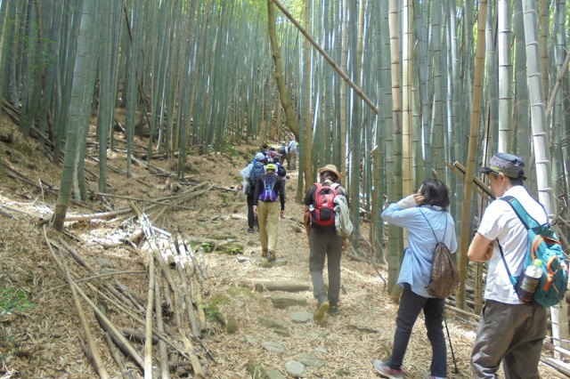 語り部と歩く熊野古道散策（紀伊路）／海南市産業振興課