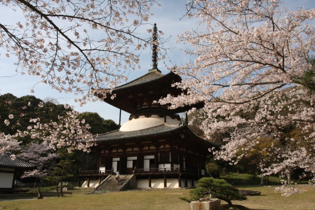 語り部と歩く根來寺・旧和歌山県議会議事堂ツアー／いわで語り…