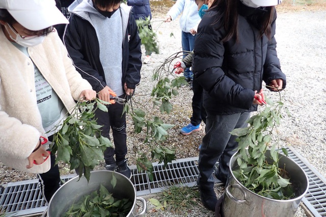 高野山の植物を使って作る　草木染体験／高野山寺領森林組合