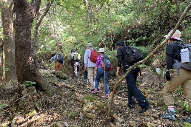 世界遺産大辺路ウォーク／南紀串本観光協会