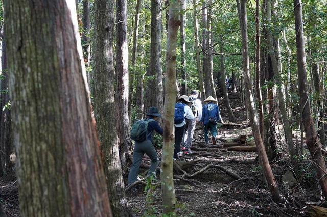 熊野古道歴史散策ウォーク／語り部の会熊野古道中辺路