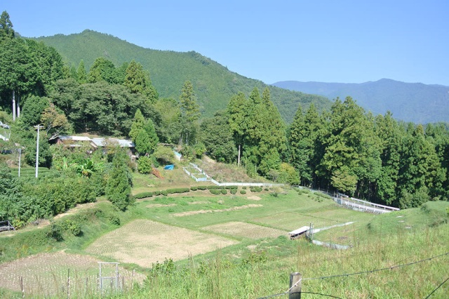 親子で楽しむ熊野古道／熊野くるり