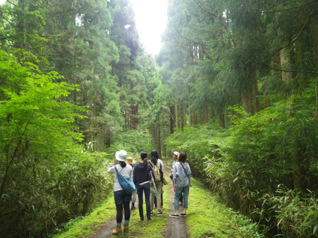 世界遺産高野山の森林セラピー体験