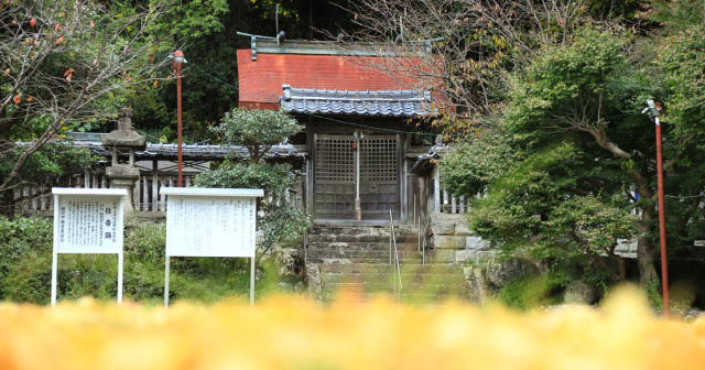 長野八幡神社例祭(住吉踊)