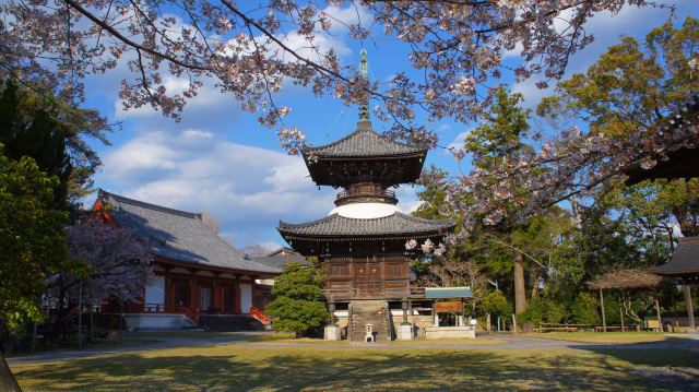 高山寺春まつり