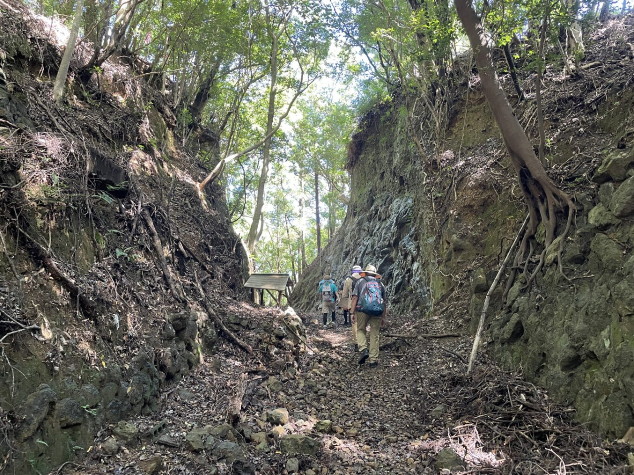 駿田峠