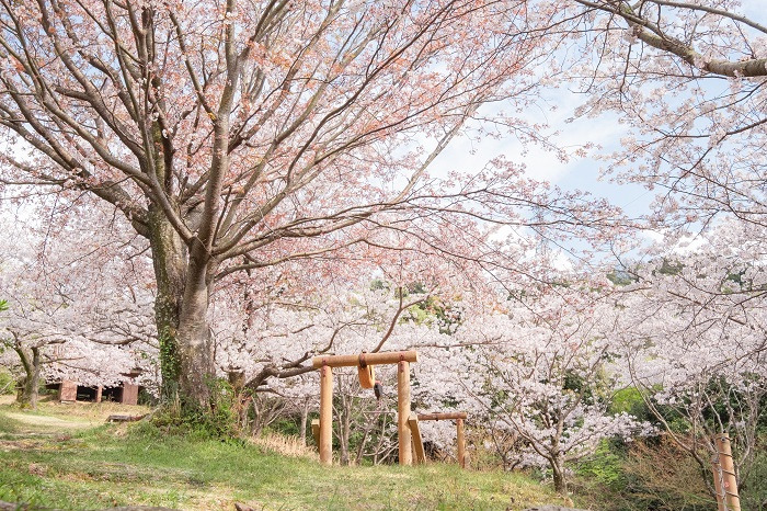 鳥屋城山