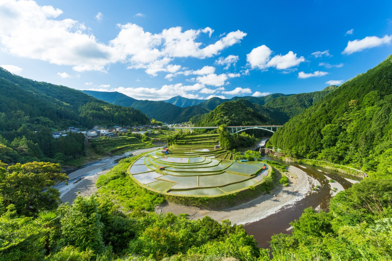 春の見どころ！あらぎ島の、水面が鏡のように映る水鏡