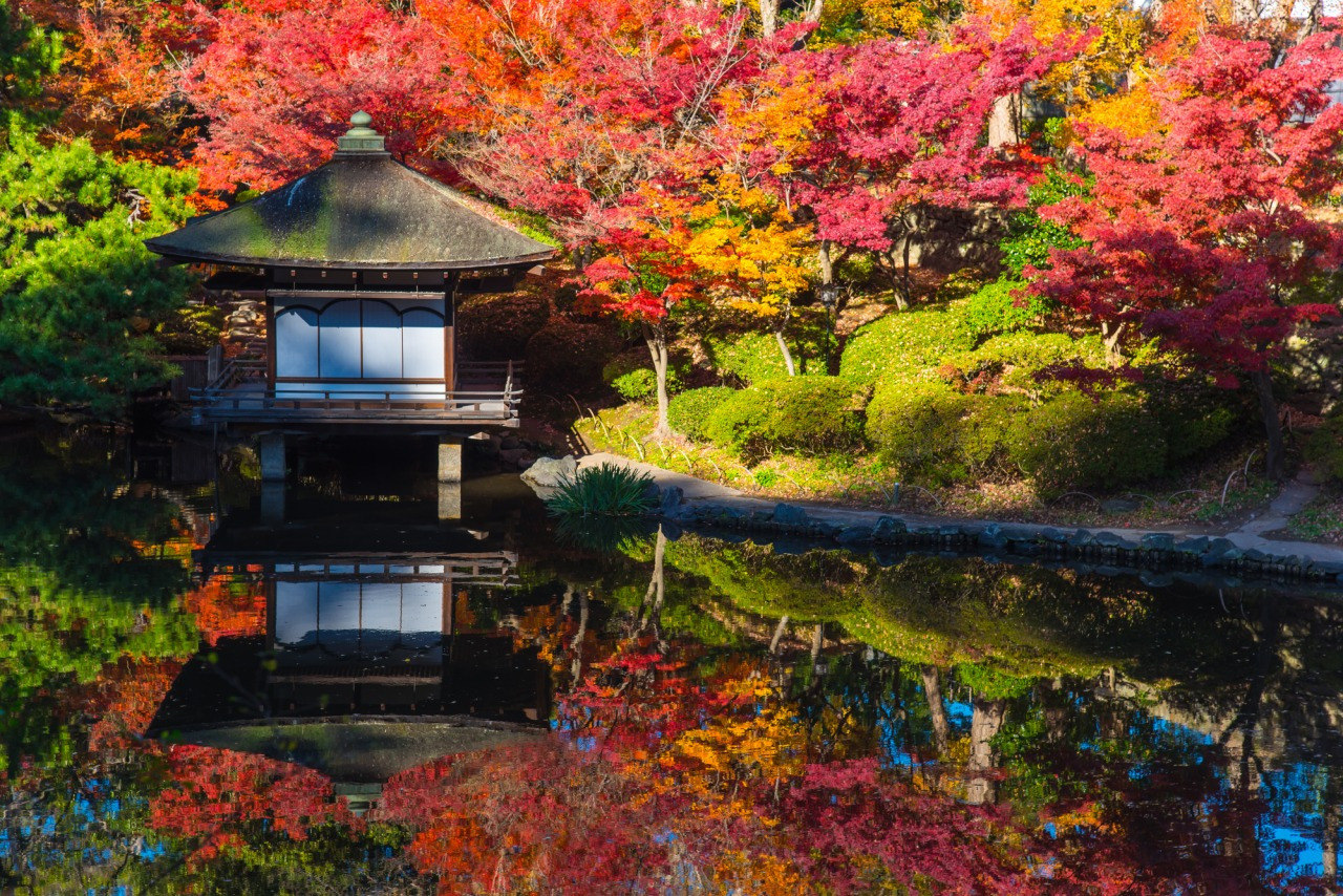 名勝 西之丸庭園（紅葉渓庭園）の紅葉