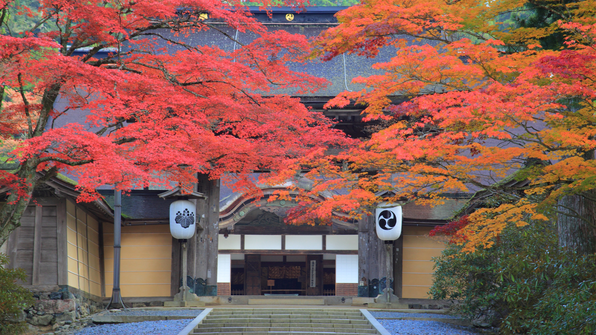 世界遺産 高野山とは? ~ひと足早く色づく秋の聖地~