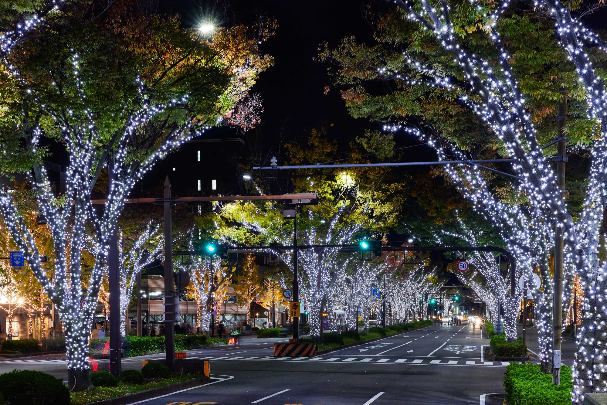 2025年12月 和歌山県内のイベント情報まとめ