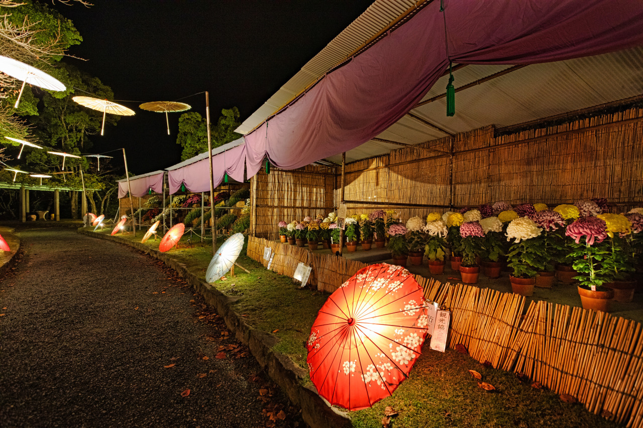 2026年11月 和歌山県内のイベント情報まとめ